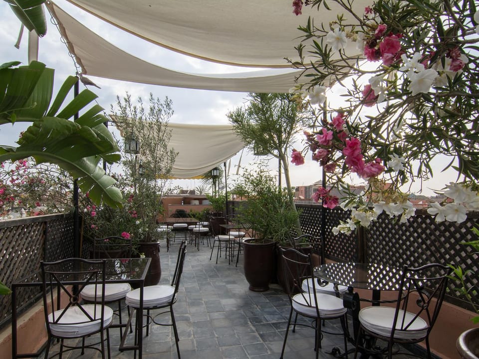 Patio, Garden