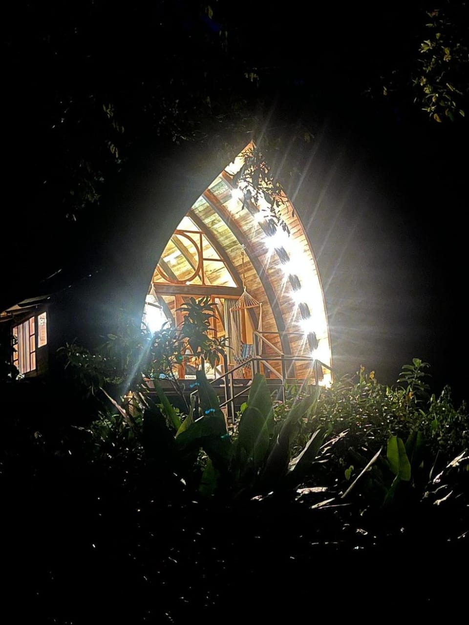Night, Natural landscape, Garden view
