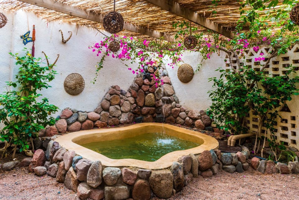 Garden, Swimming pool