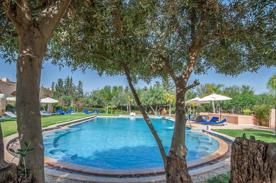 Garden, Garden view, Pool view, Swimming pool