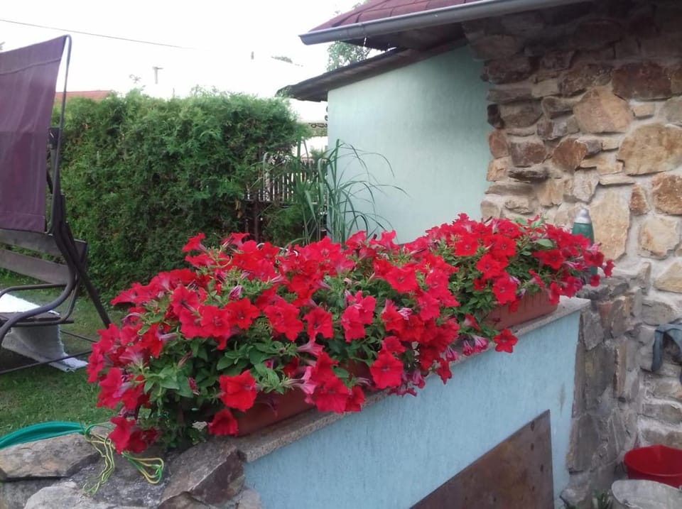 Apartmány na Hlíně Apartment in South Bohemian Region