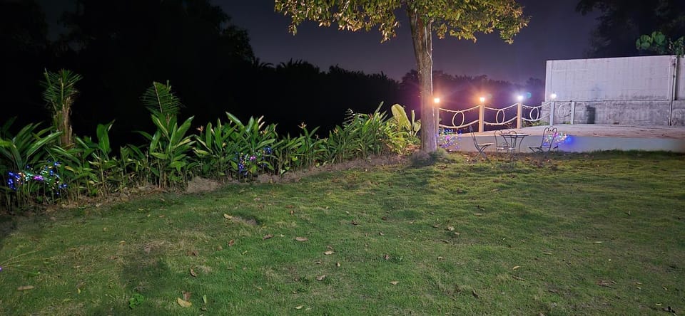 Night, Natural landscape, Garden, Garden view