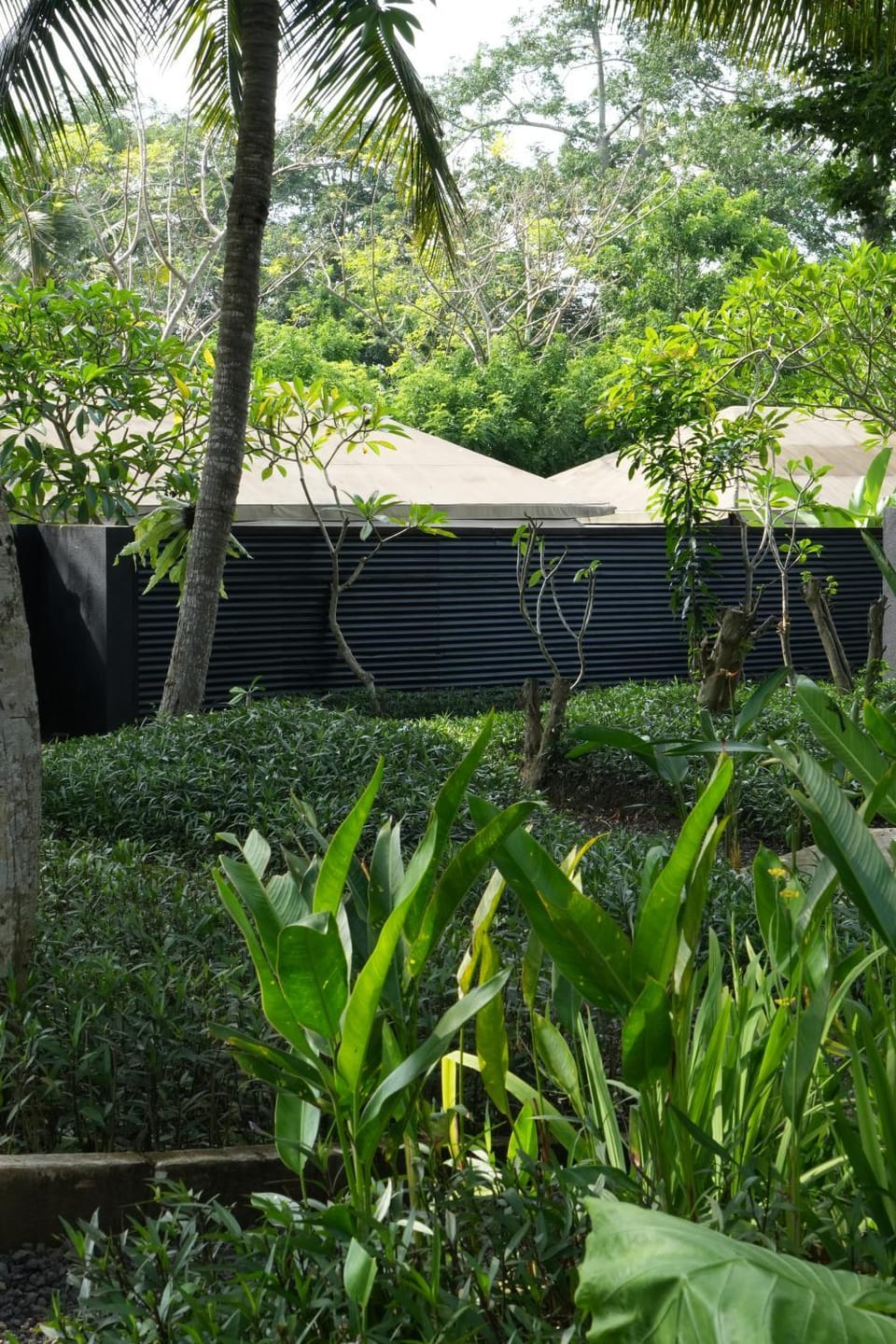 Natural landscape, Garden