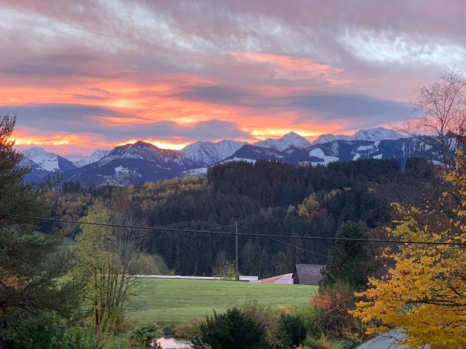 Ferienwohnungen Probst Apartment in Tyrol