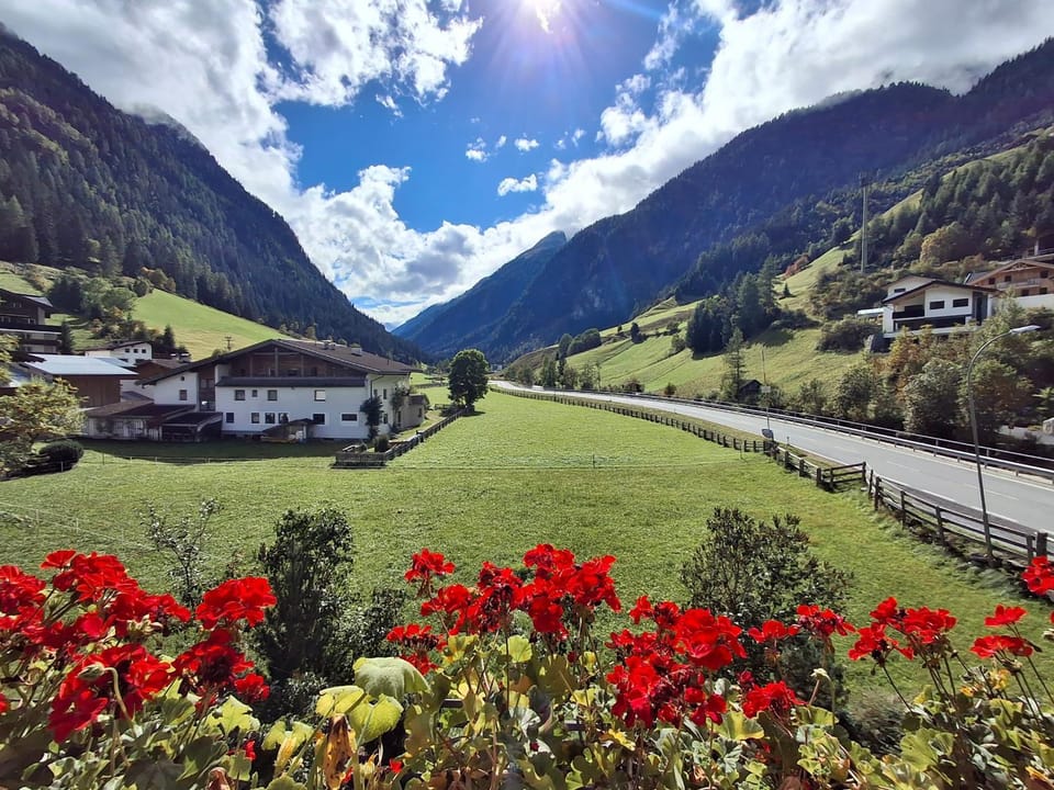 View (from property/room)