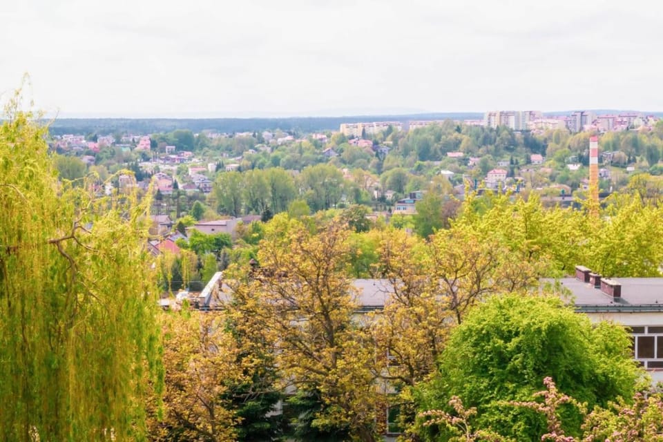 Spring, View (from property/room), City view, Landmark view, Mountain view