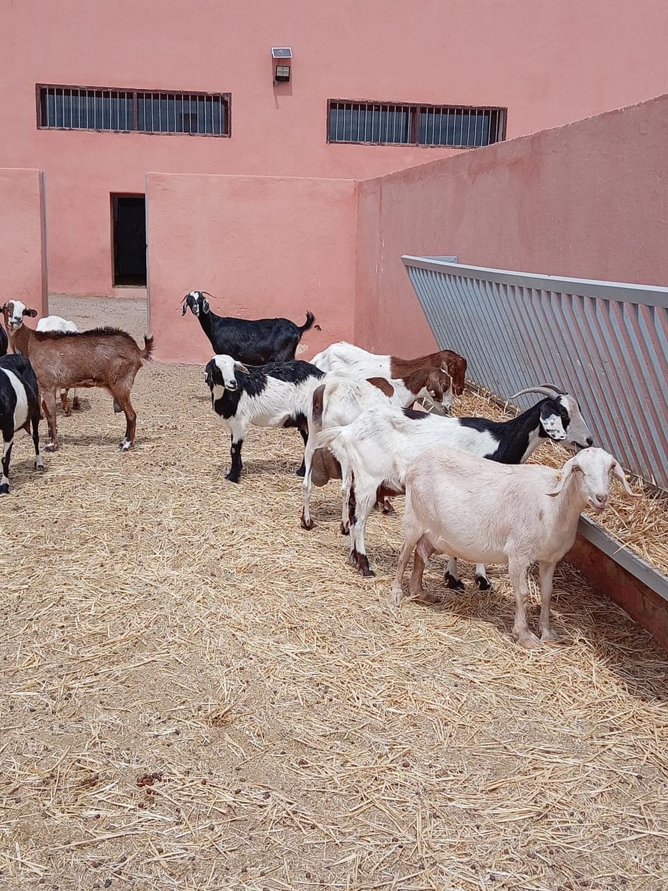 Kasbah Dar Dmana Bed and Breakfast in Souss-Massa