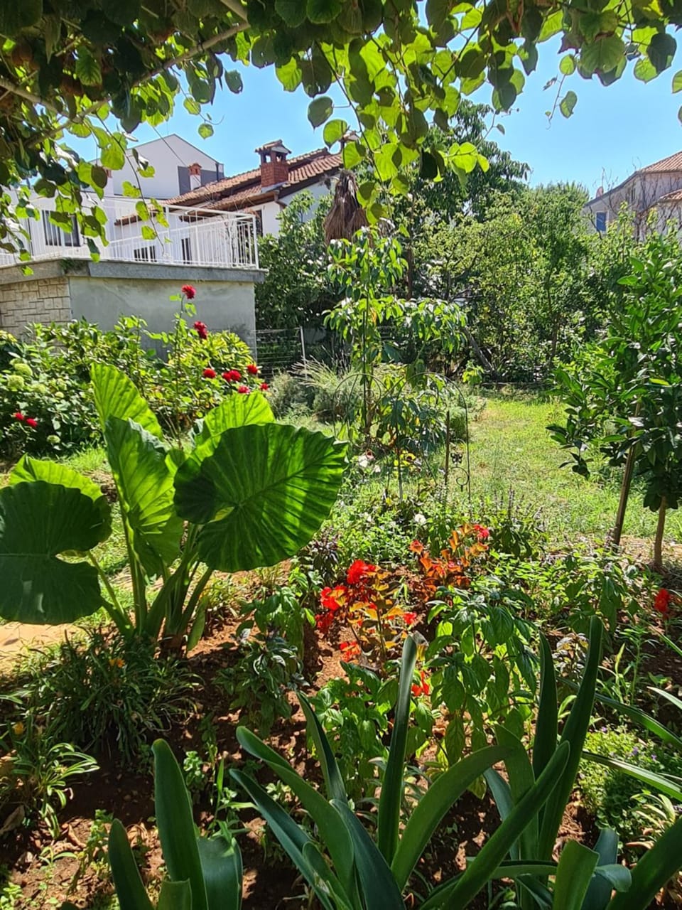 Garden view, Garden view