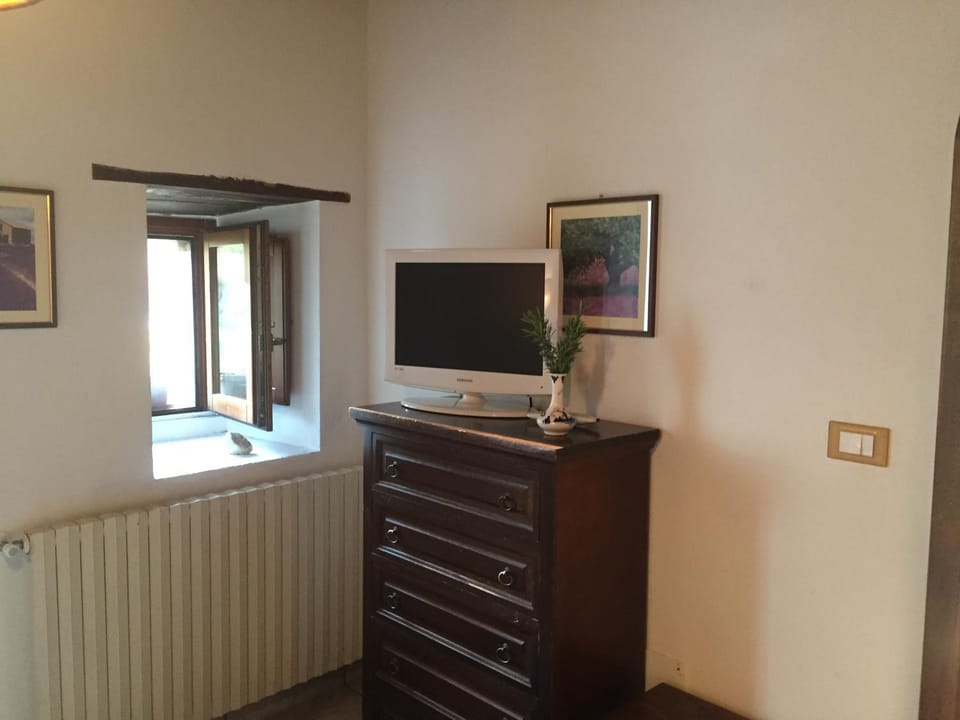 TV and multimedia, hair dresser