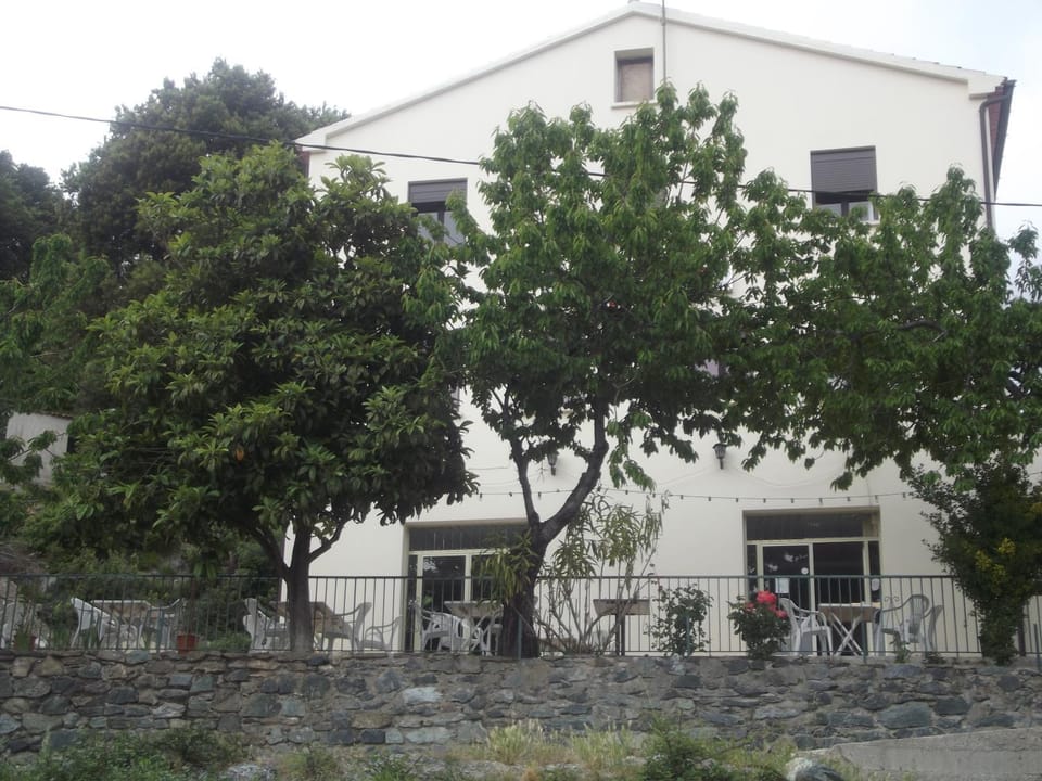 Property building, Garden view