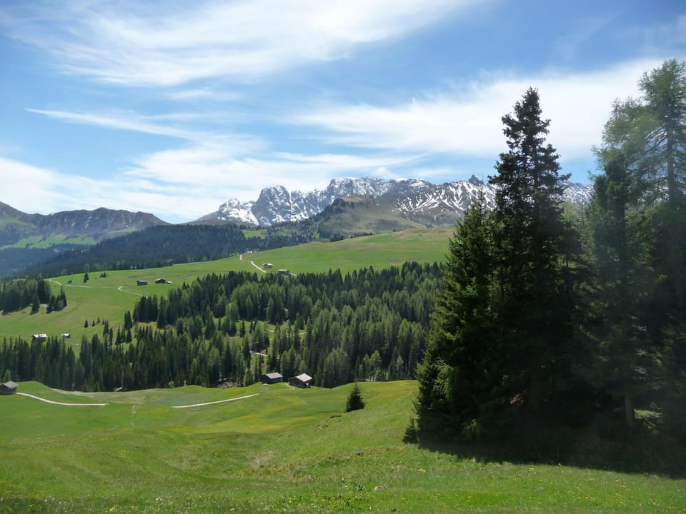 Natural landscape