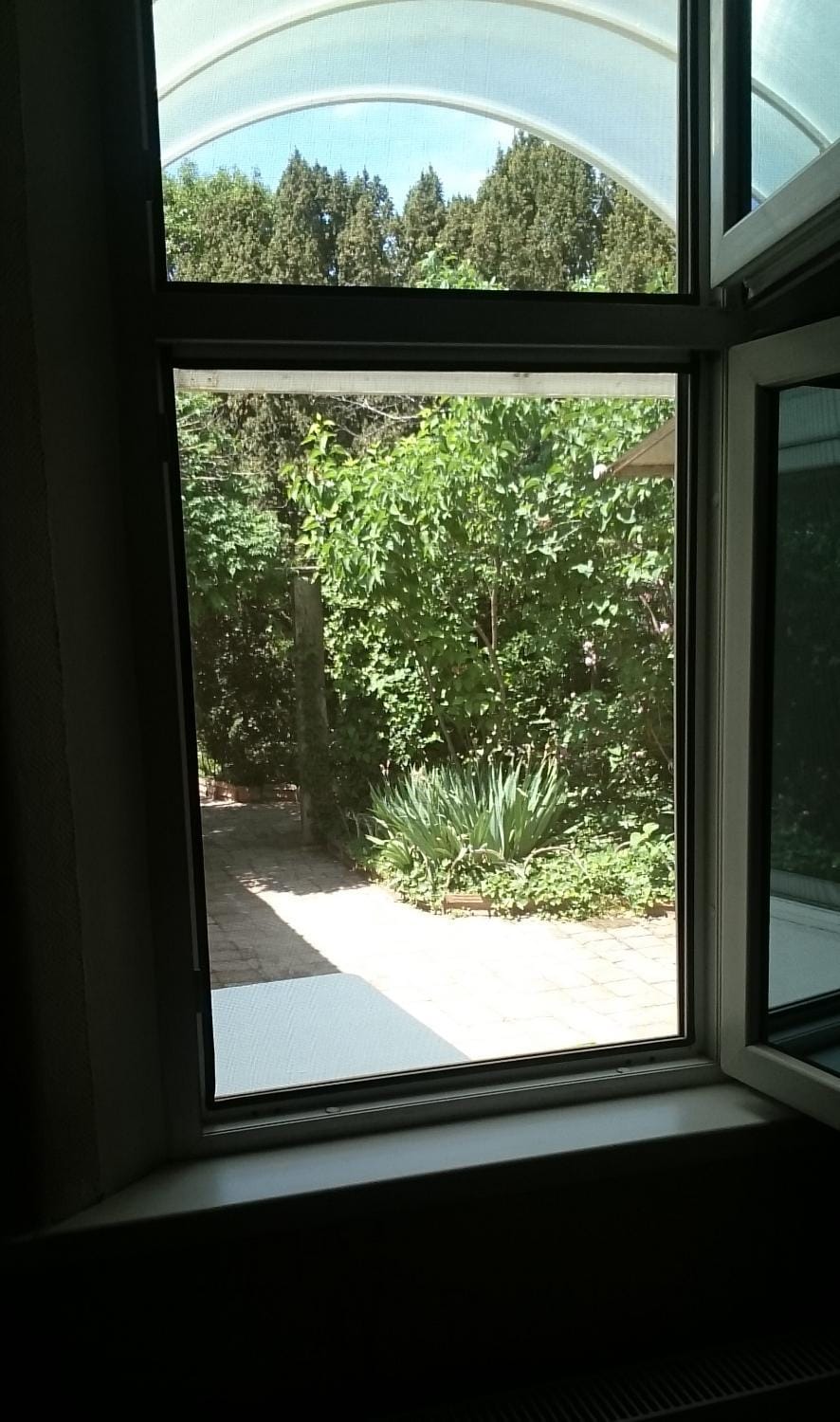 Garden view