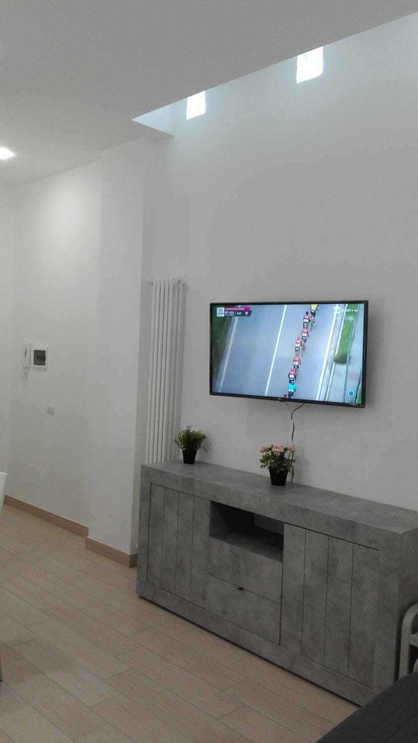 TV and multimedia