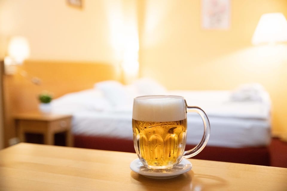 Hotel U Salzmannů Bed and Breakfast in Bavaria