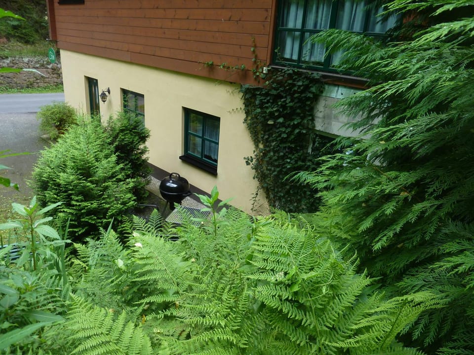 Property building, Garden view