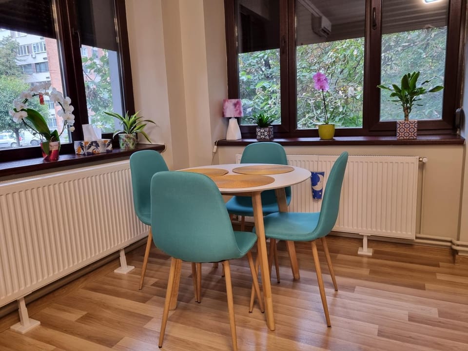 City Inn Premium Apartment 2 Apartment in Timisoara