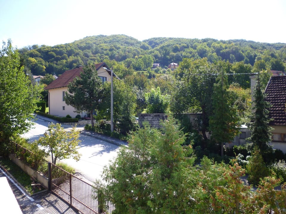 View (from property/room), Area and facilities
