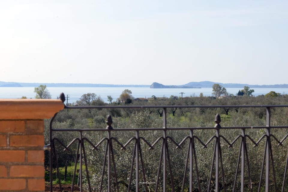 Il Casale degli Ulivi Country House in Lazio