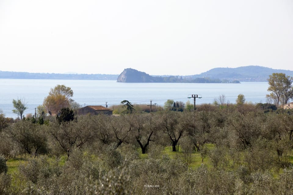 Il Casale degli Ulivi Country House in Lazio