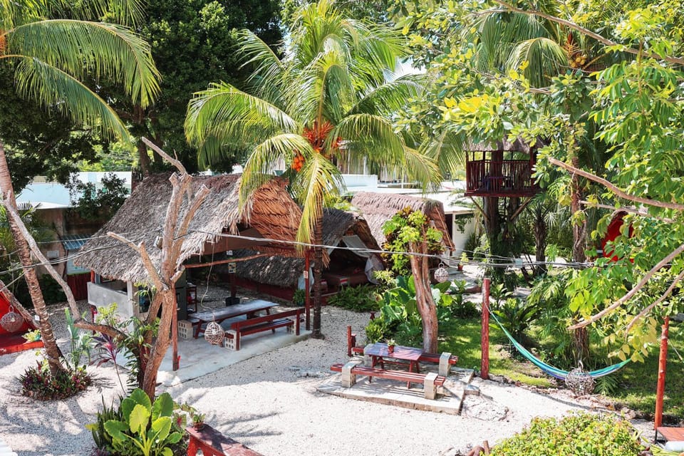 Bird's eye view, Garden view