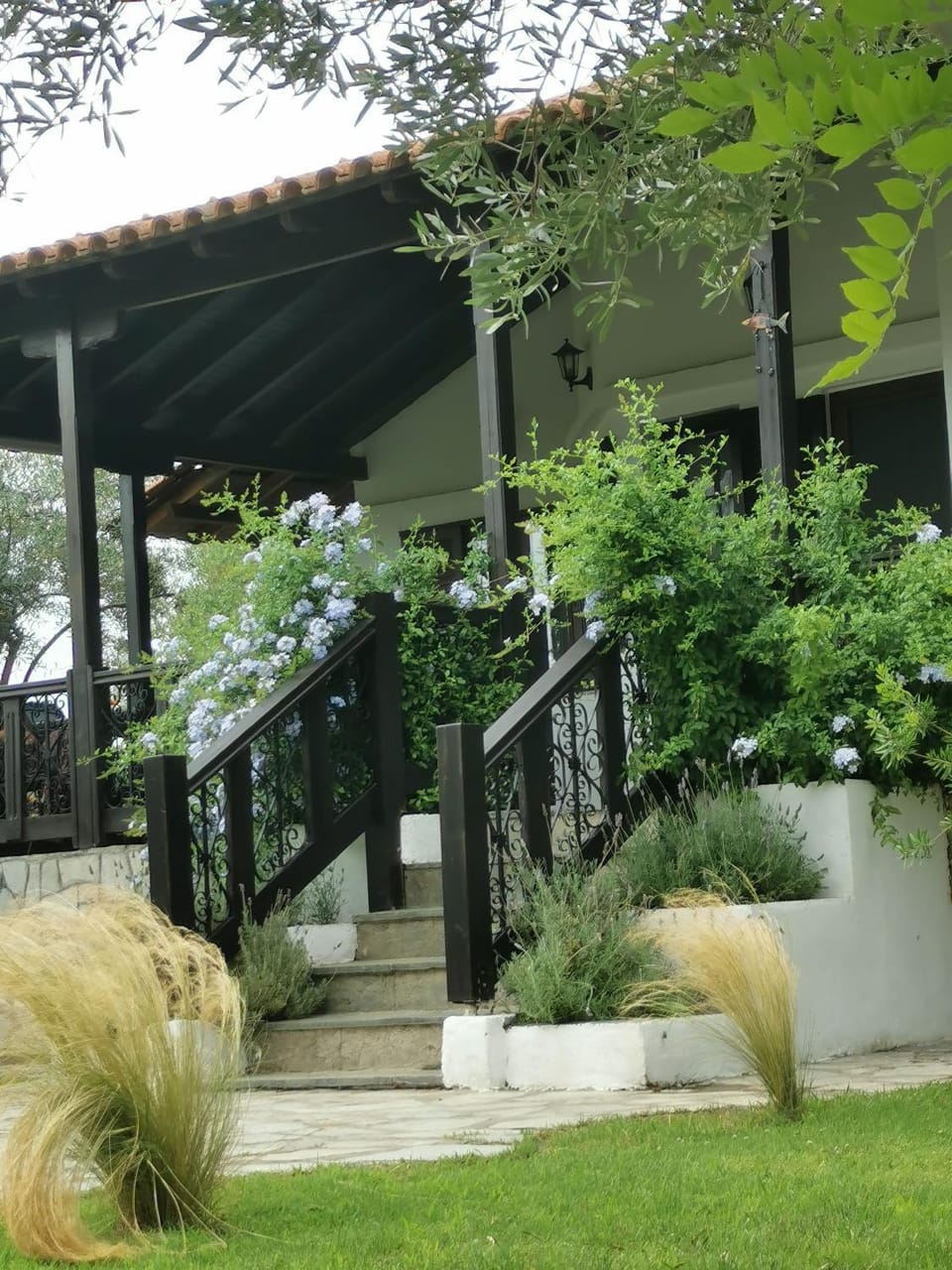 Property building, Spring, Garden, Garden view