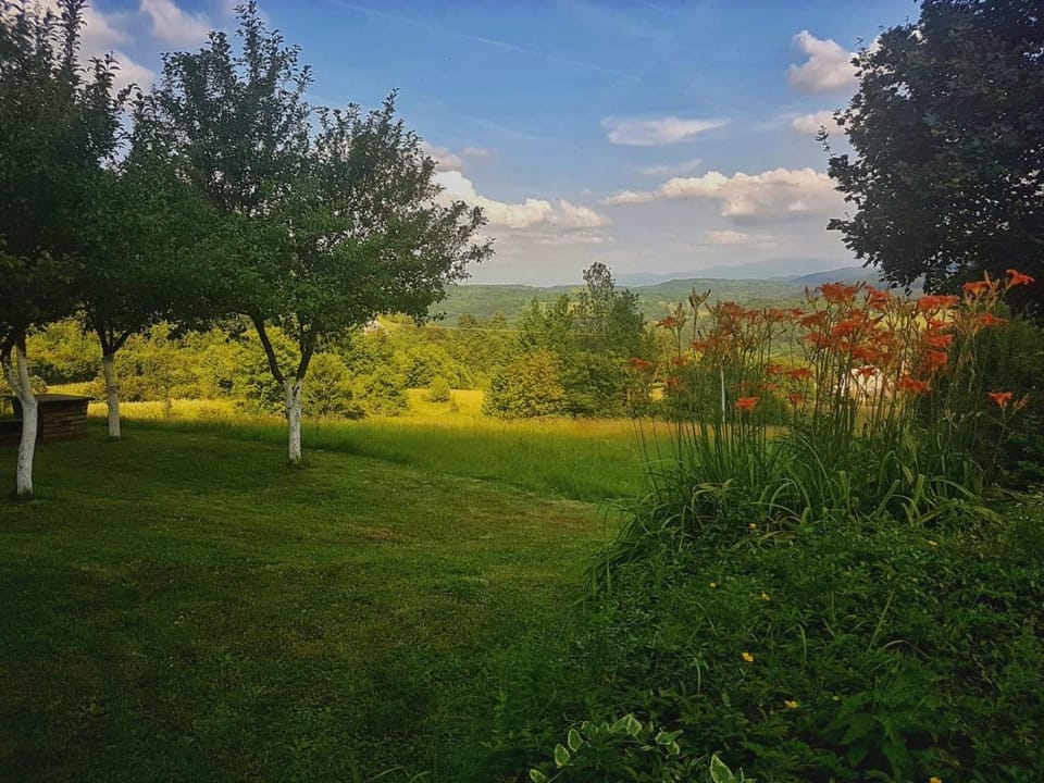 Natural landscape, Garden, Sunset