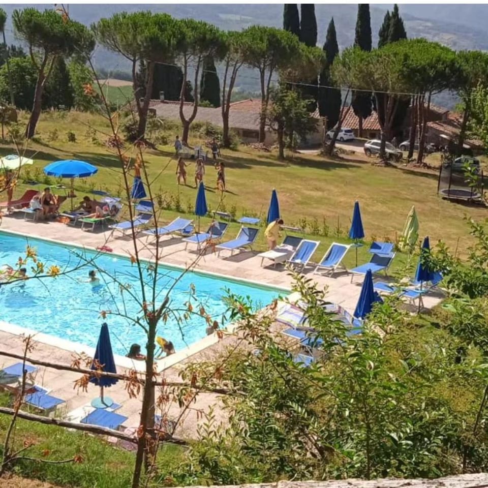 Pool view, Swimming pool, sunbed