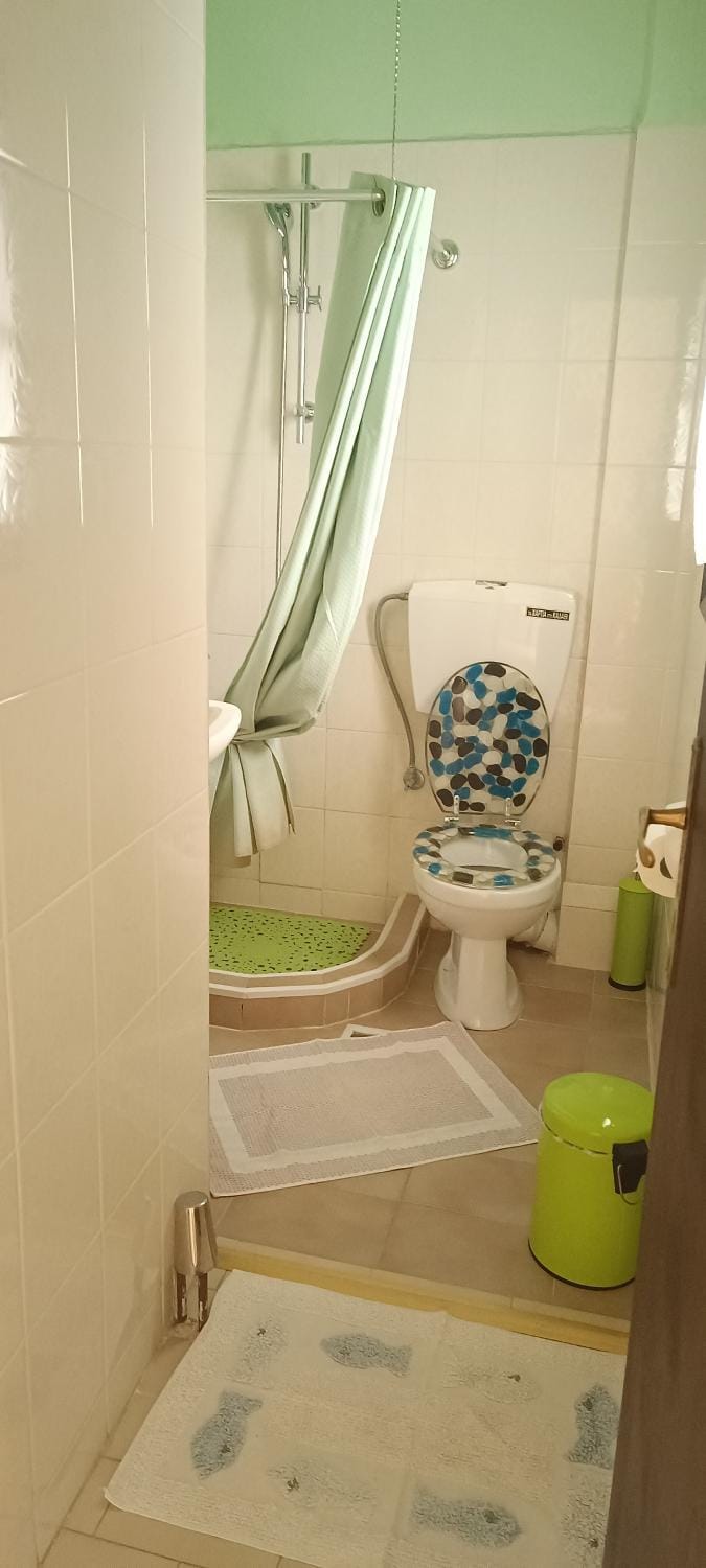Shower, Toilet