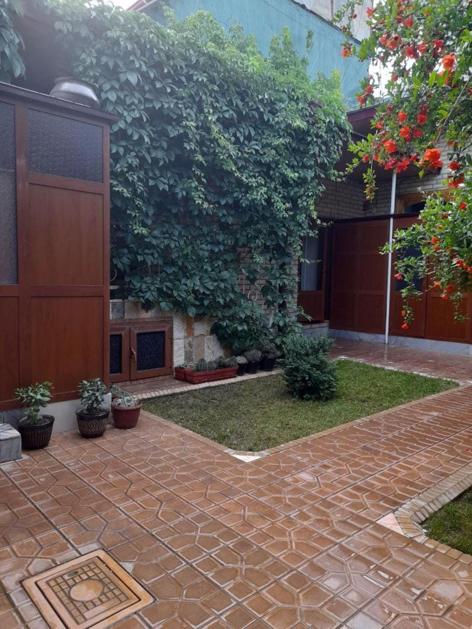 Garden view