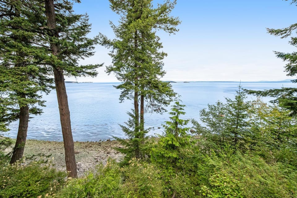 Pinecone Cabin Cabin in Washington