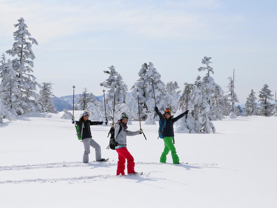 Winter, Skiing