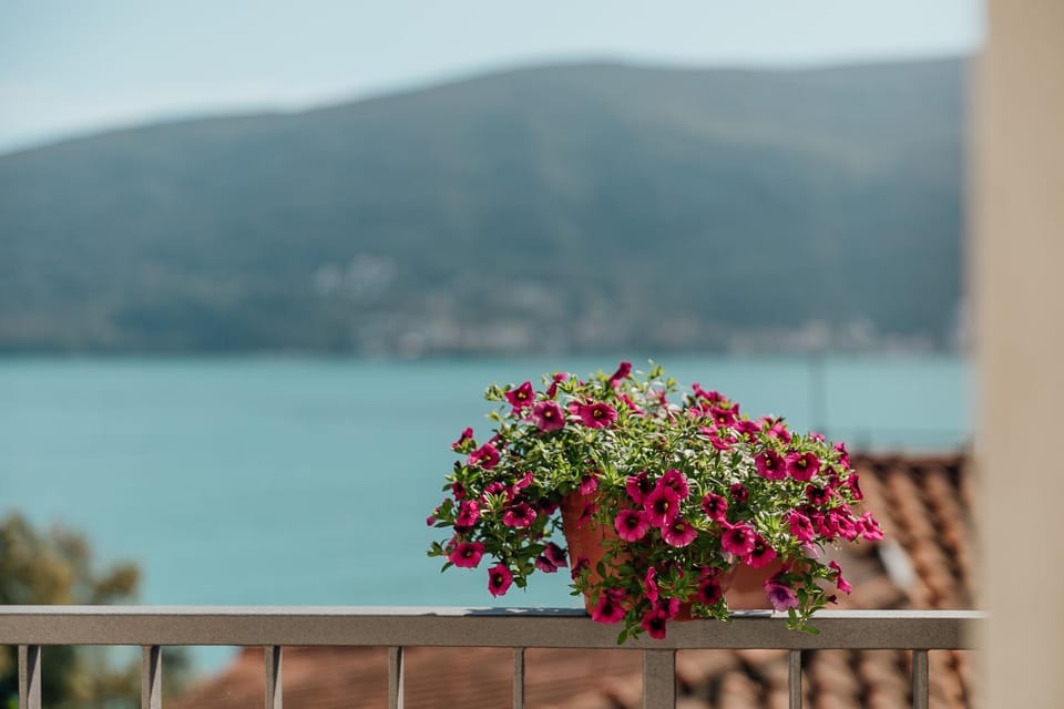 Balcony/Terrace, Sea view