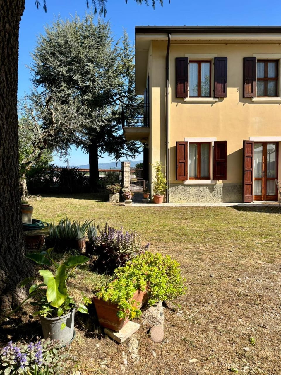 Patio, Garden, Garden view