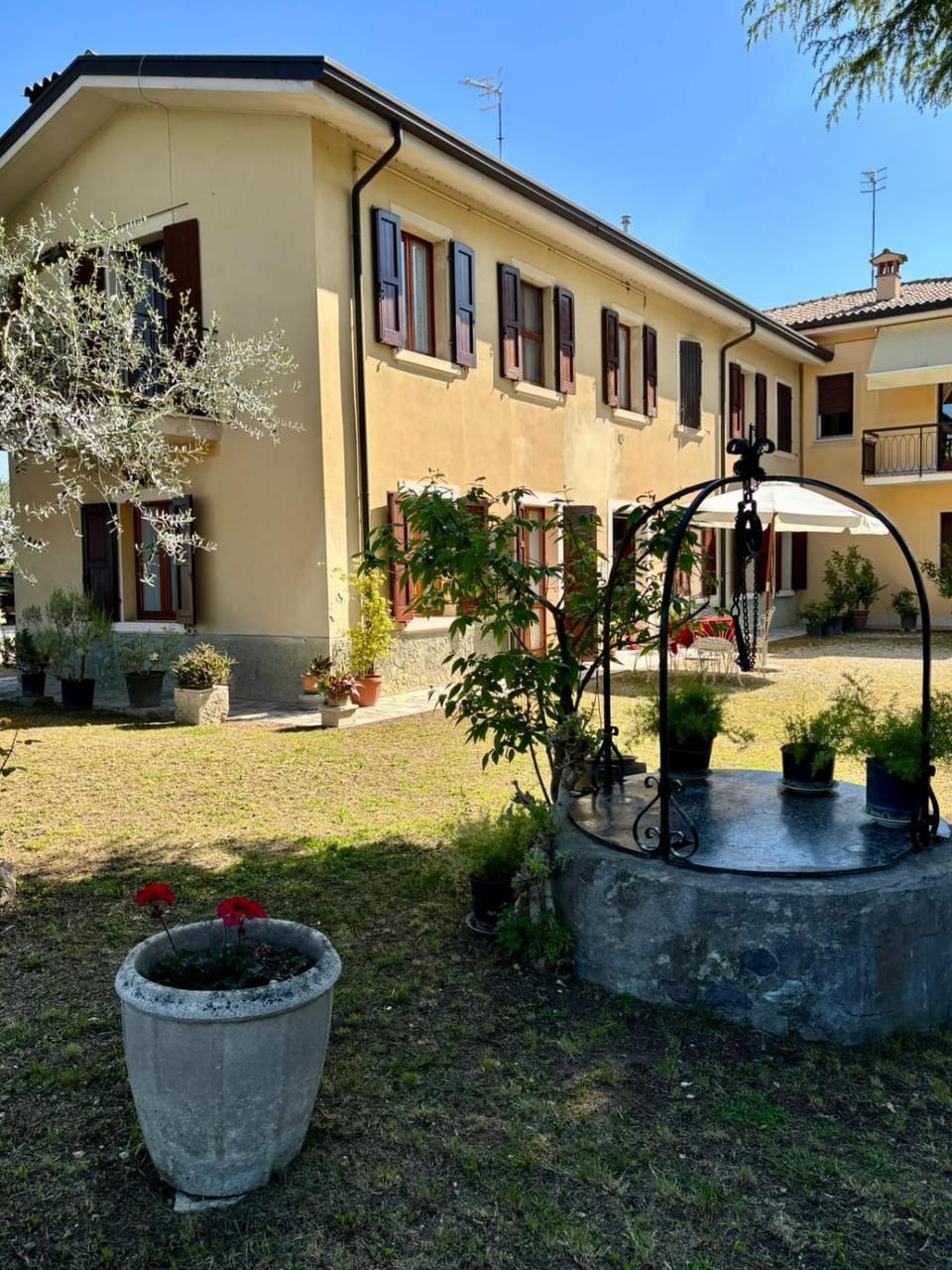 Patio, Garden, Garden view