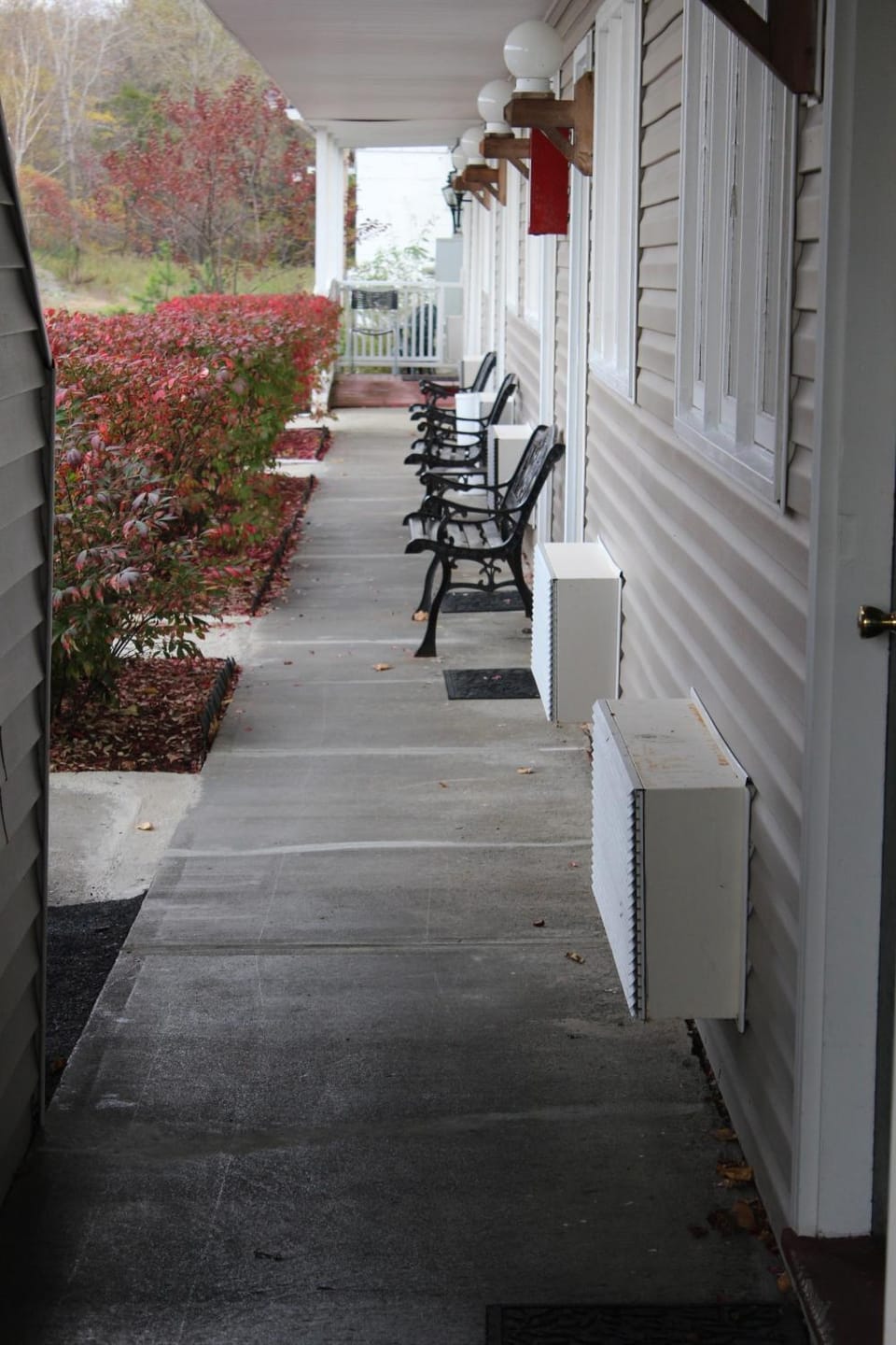 Patio, Day