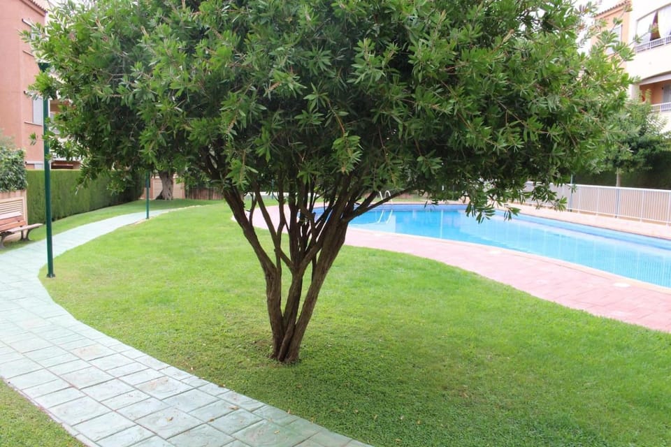 Apartamento planta baja acceso directo piscina Apartment in Baix Ebre