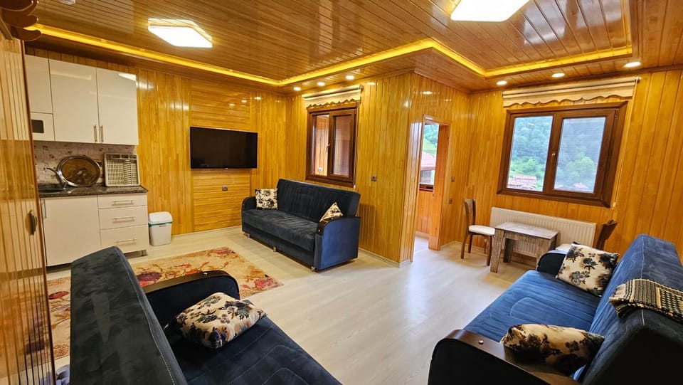 TV and multimedia, Kitchen or kitchenette, Living room, Mountain view