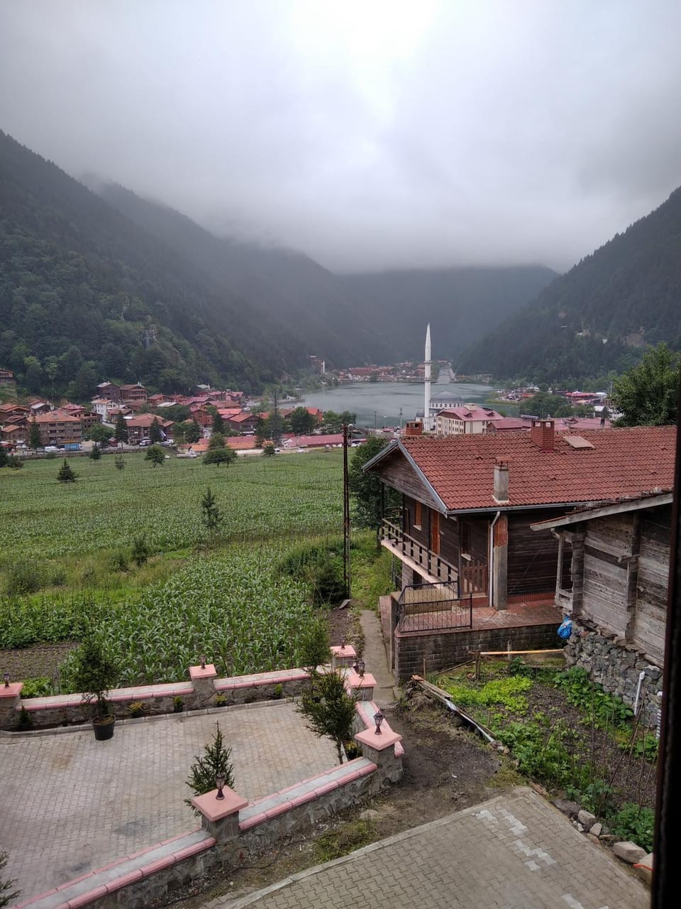 Garden view, Mountain view