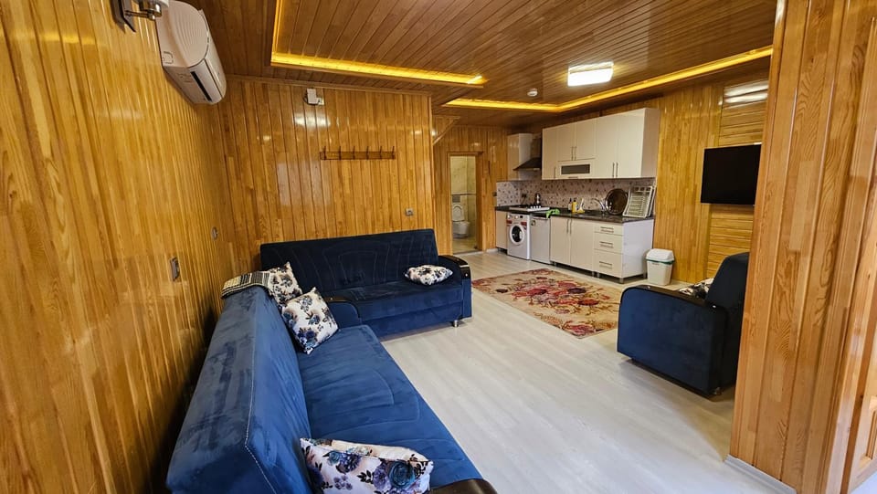 Bathroom, TV and multimedia, Kitchen or kitchenette, Living room, air conditioner