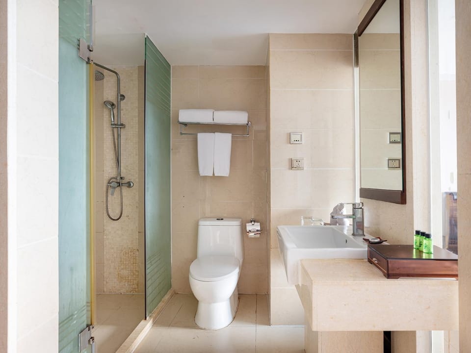 Toilet, Bathroom
