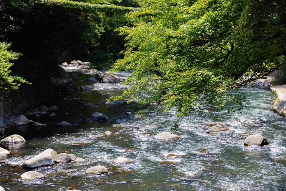 Natural landscape, River view