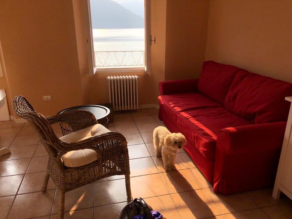 La finestra sul lago Apartment in Lierna