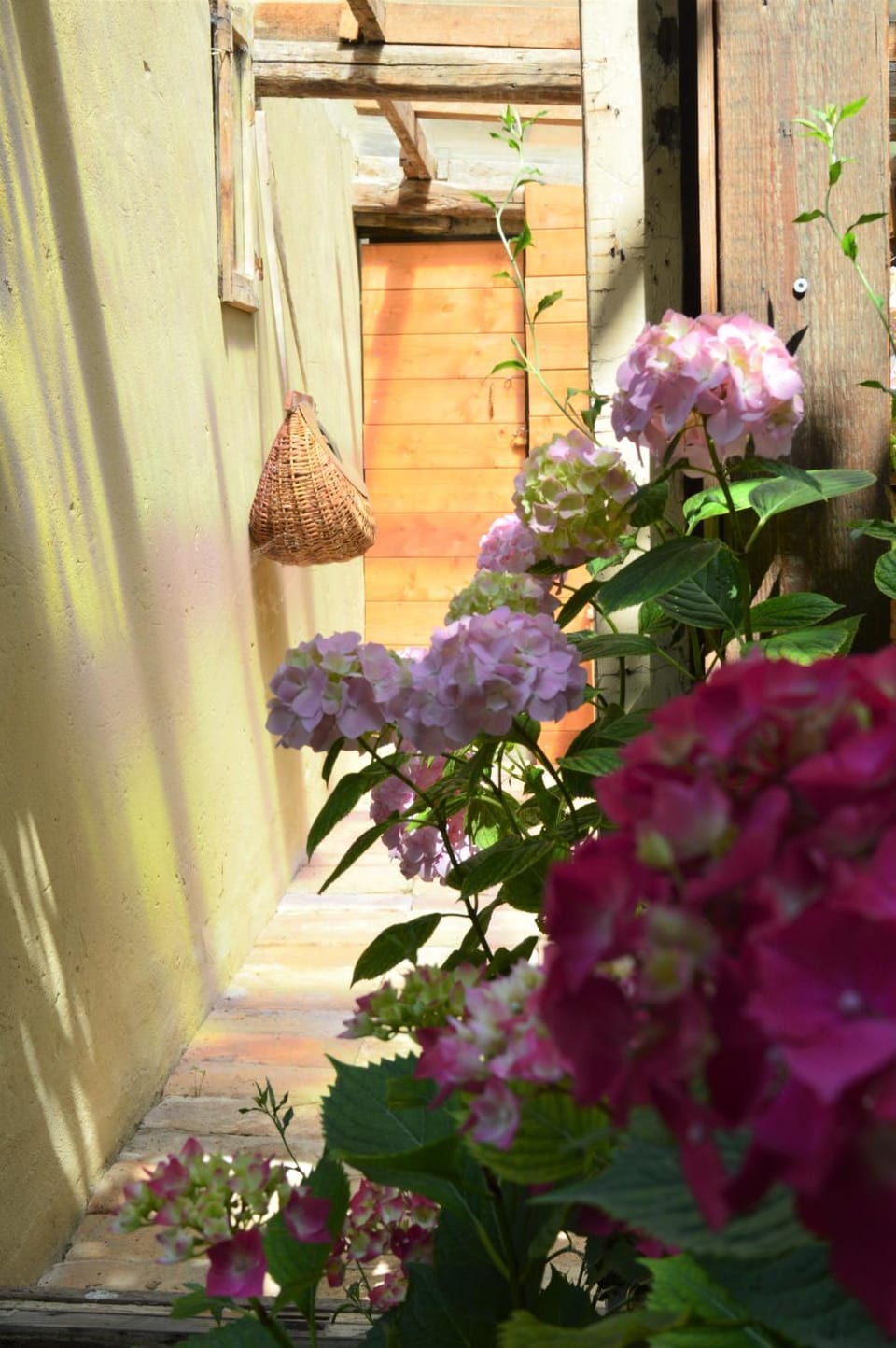 B&B Lady Cocca Bed and Breakfast in Emilia-Romagna