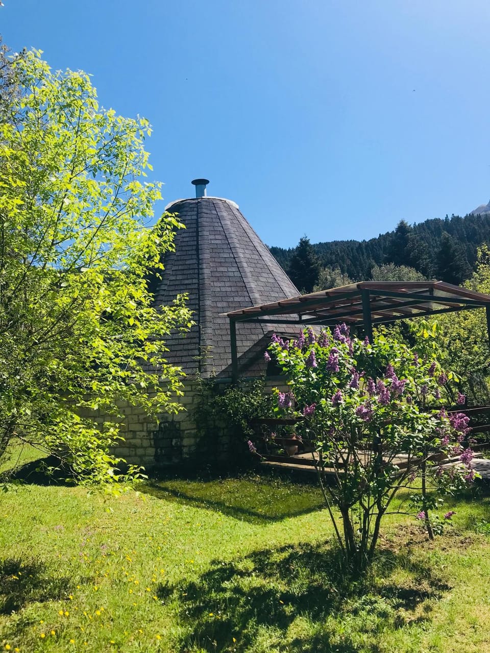 Property building, Spring, Day, Garden