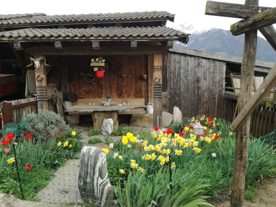 Spring, Day, Garden, On site
