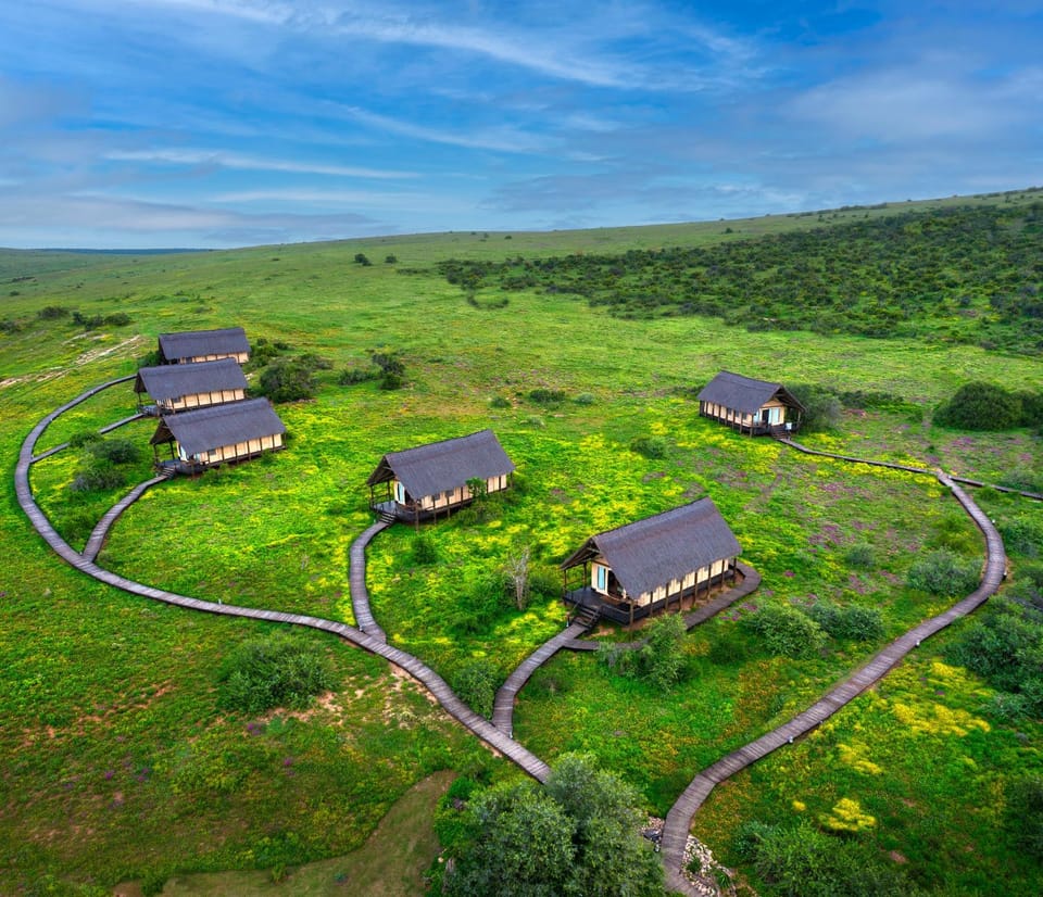 Property building, Natural landscape, Bird's eye view