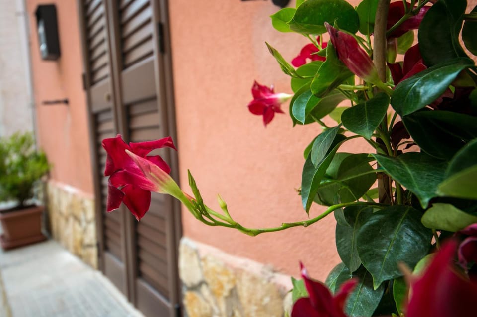 'A Cumerdia - Casa Vacanze Apartment hotel in Castellammare del Golfo