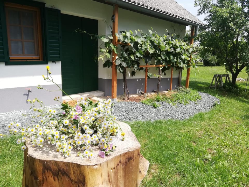 Kellerstöckl am Sauerberg 20 House in Austria