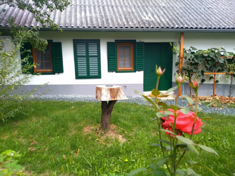 Kellerstöckl am Sauerberg 20 House in Austria