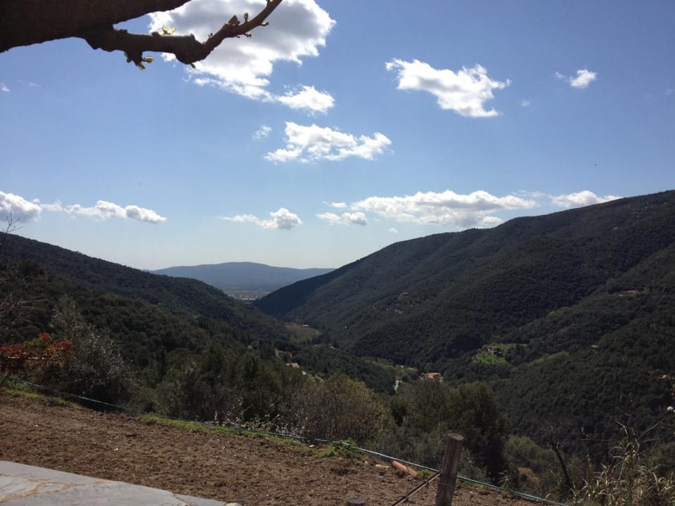Natural landscape